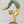 The Mermaid Reimagined, Not a Mythic Siren but a Disciplined Practitioner of Yoga