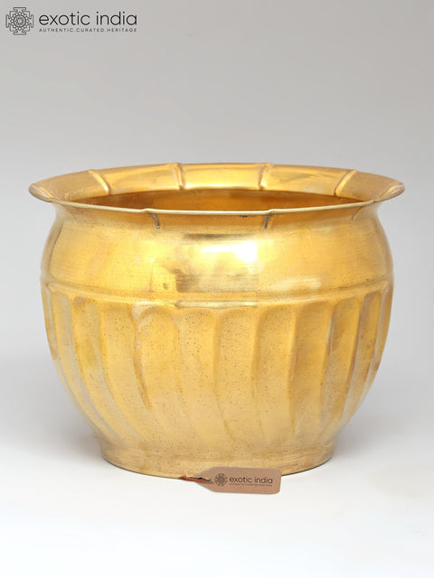 6" Brass Planter for Indoor Plants