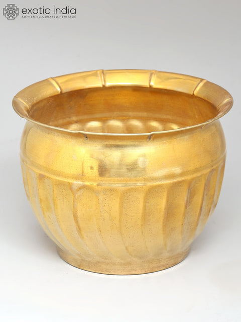 6" Brass Planter for Indoor Plants
