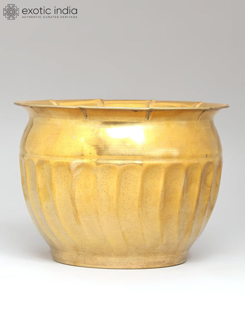 6" Brass Planter for Indoor Plants