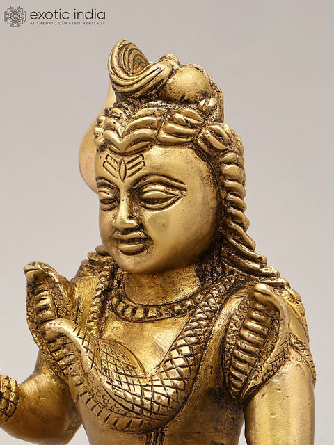 6" Small Blessing Lord Shiva | Brass Statue