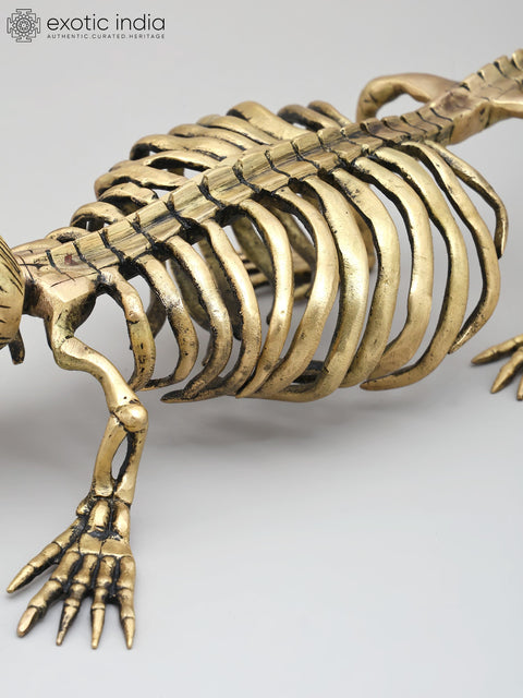 23" Dinosaur Skeleton Decorative Showpiece | Collectible Item
