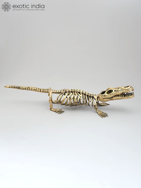 23" Dinosaur Skeleton Decorative Showpiece | Collectible Item