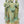 12" Lord Buddha with Disciples | Brass Statue