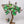 32" Brass Guava Tree with Flowers | Decorative Showpiece