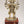 11" Brass Superfine Standing Panchamukhi Lord hanuman on Wood Base