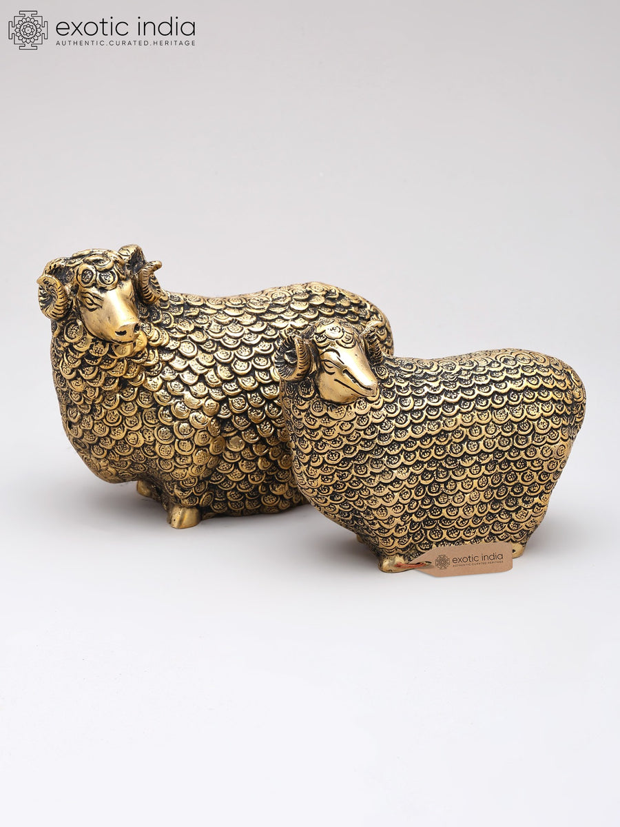 6" Brass Auspicious Sheep Pair with Prosperity Coins Statue