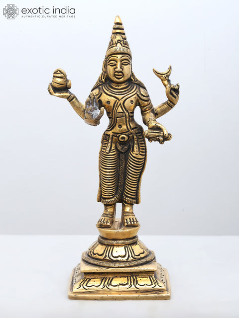 6" Navagraha (Nine Planets) Deities Brass Statues | Handmade | Made in India