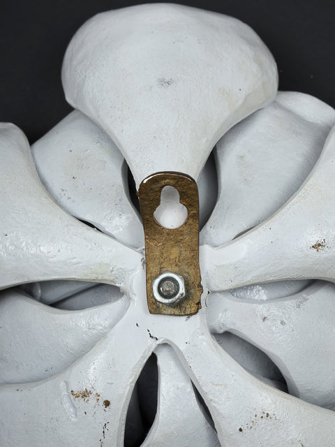 8" White & Gold Lotus Flower | Wall Decor