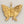 2" Small Brass Butterfly with Connector