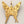 2" Small Brass Butterfly with Decor Attachment