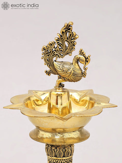 8" Superfine Five Wicks Peacock Lamp in Brass