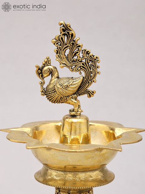 8" Superfine Five Wicks Peacock Lamp in Brass