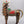 21" Tribal Nandi - Vahana of Lord Shiva | Dhokra Art Brass Statue