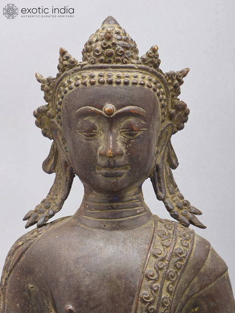 17" Crowned Medicine Buddha | Brass Statue on Wood Base