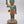 14" Standing Baby Buddha (Siddharth Gautam) | Brass Statue