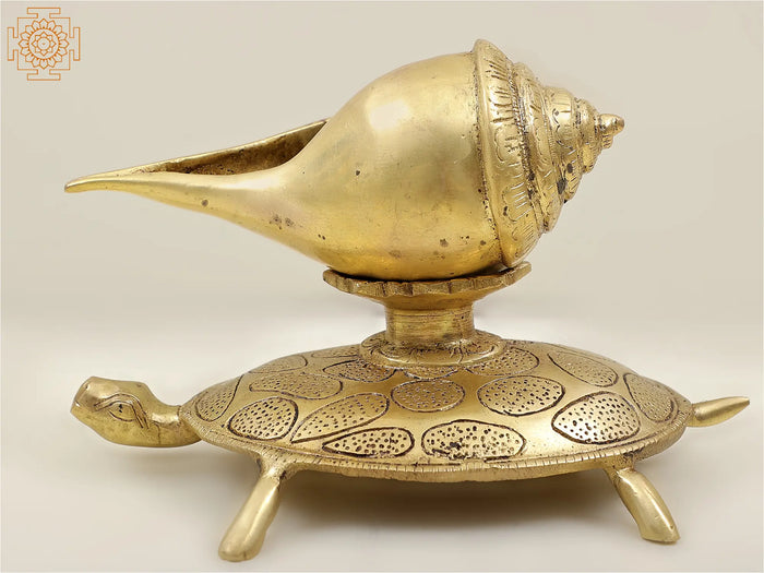 8" Conch on Tortoise In Brass | Handmade | Made In India