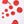 Hand-Painted Red Floral Petals Wall Art Set in Brass with Gloss Finish | Set of 10 Pieces