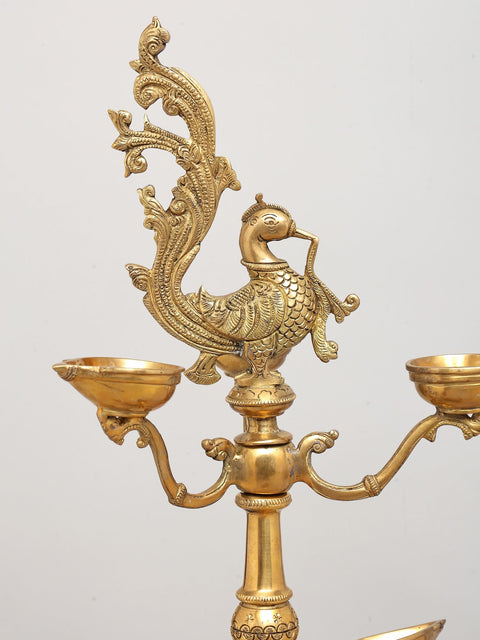 36" Large Multi Wicks Peacock Lamp in Brass
