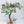 32" Large Colourful Brass Tree With Butterflies