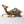 Camel with Outstretched Neck