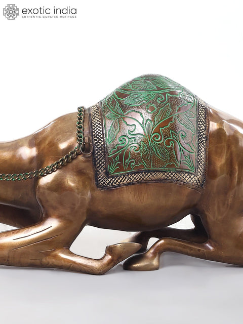 Camel with Outstretched Neck