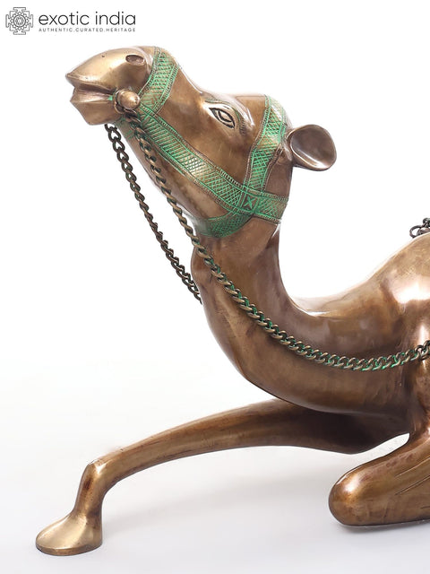 Camel with Outstretched Neck