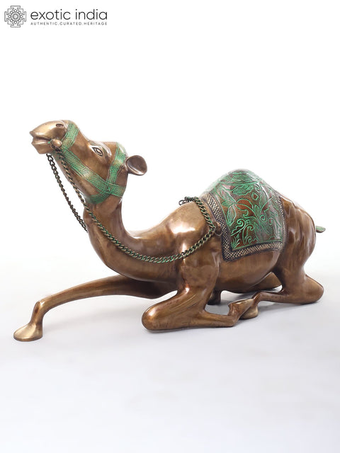 Camel with Outstretched Neck