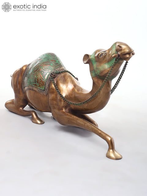 Camel with Outstretched Neck