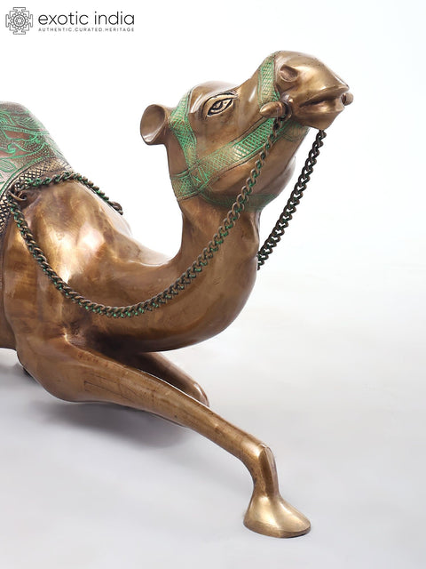 Camel with Outstretched Neck