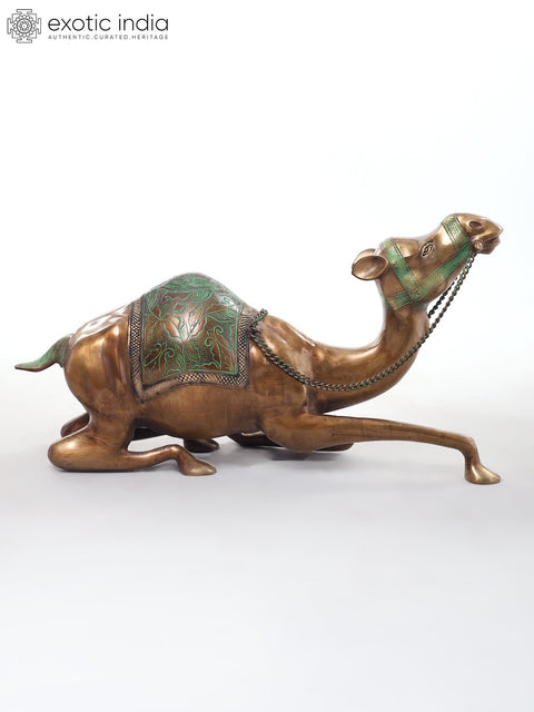 Camel with Outstretched Neck