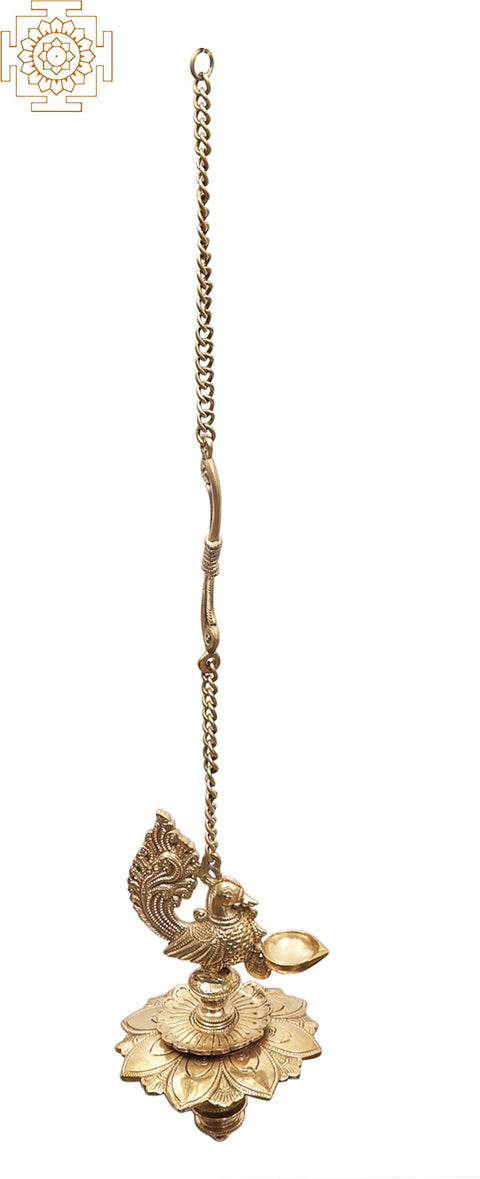 Peacock Hanging Lamp
