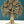 10" Bodhi Tree | Handmade
