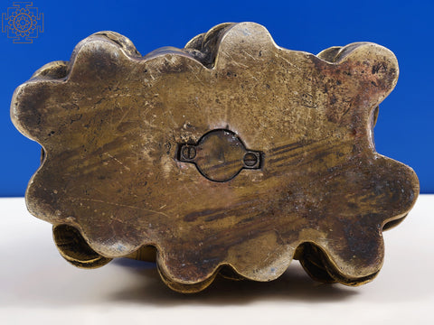 8" Handmade Brass Tortoise Piggy Bank | Brass Dragon Tortoise