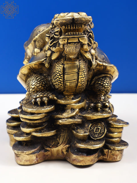 8" Handmade Brass Tortoise Piggy Bank | Brass Dragon Tortoise