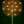 51" Large Brass Tree with Candle Holder | Handmade