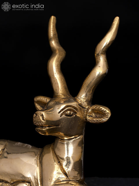 3" Small Brass Sitting Deer Figurine | Handmade