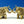 3" Small Engraved Pair of Elephants Statue with Trunk Up