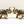 14" Brass Engraved Pair of Elephant with Inlay Work