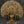 57" Brass Super Large Tree of Life