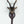 7" Small Brass Deer Head Wall Hook