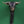 6" Small Brass Bull Head Wall Hook