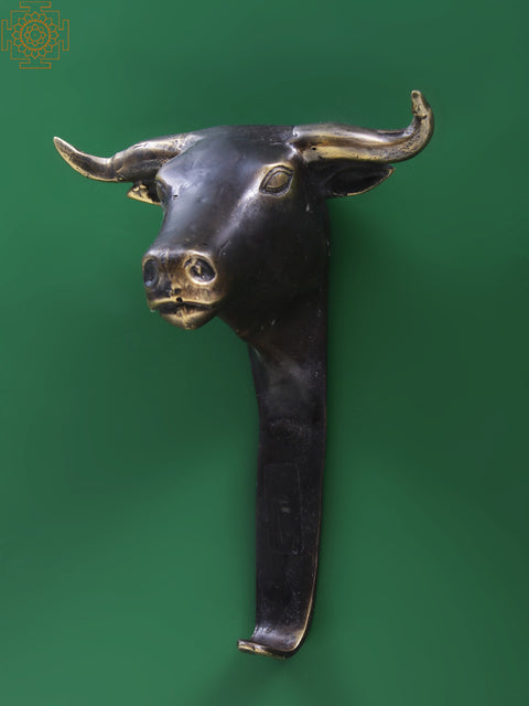 6" Small Brass Bull Head Wall Hook