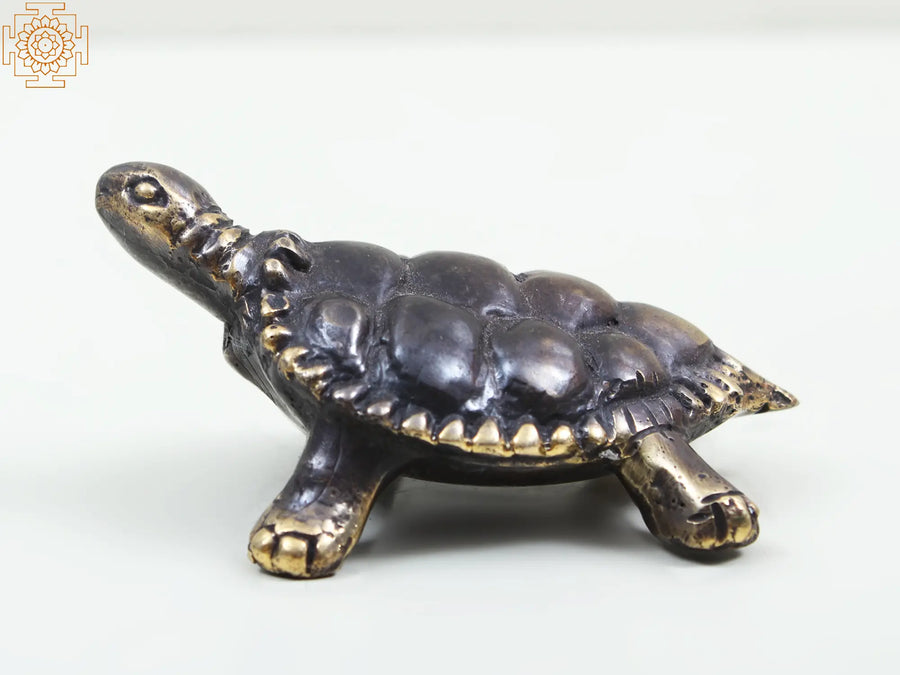 Small Brass Tortoise Statue for Home Decor