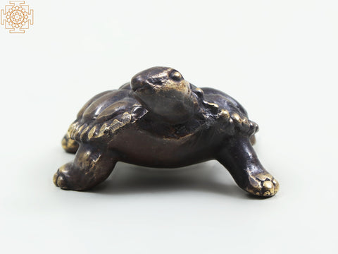 Small Brass Tortoise Figurine | Home Decor Items