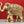 25" Brass Engraved Elephant