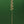 Brass Tall Stick Flowers | Home Decoration Showpiece