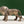 5" Brass Small Lion Figurine | Animal Statue