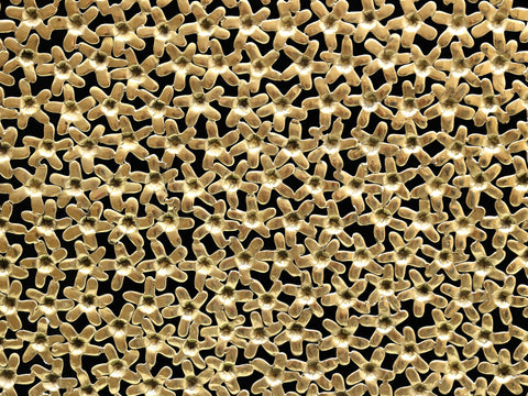 71" Brass Floral Design Grill Board (Jali)