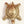 2" Golden-shaded Glittering Small Brass Vastu Tortoise